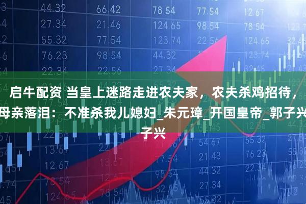 启牛配资 当皇上迷路走进农夫家，农夫杀鸡招待，母亲落泪：不准杀我儿媳妇_朱元璋_开国皇帝_郭子兴
